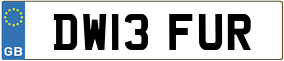 Trailer License Plate